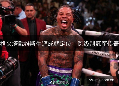 格文塔戴维斯生涯成就定位：跨级别冠军传奇