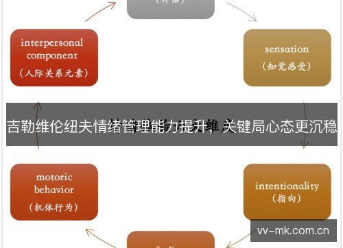 吉勒维伦纽夫情绪管理能力提升,关键局心态更沉稳 吉勒维伦纽夫情绪管理能力提升,关键局心态更沉稳